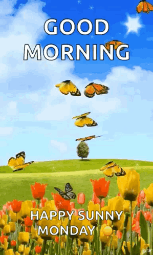 Good Morning Butterflies GIF. This 299 x 498 animated GIF is part of our montag morgen collection. Related themes include good day, good morning. Created by…