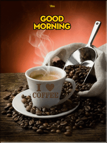 Good Morning GIF