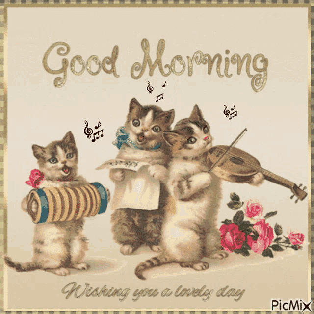 Good Morning Cat GIF
