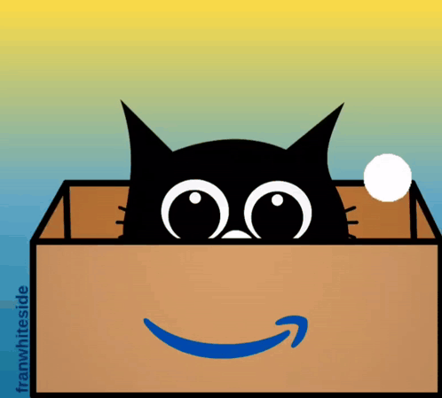 Good Morning Cat In Box GIF