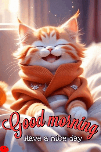 Good Morning Cat Meme
