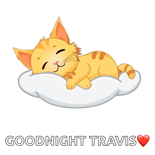 Good Morning Cat Sleep GIF