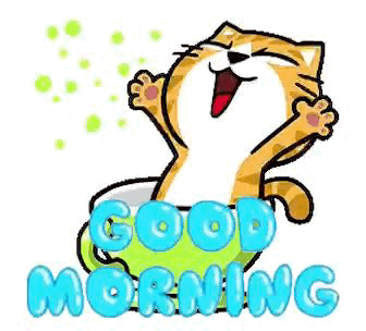 Good Morning Cat GIF