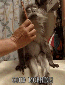 Good Morning Coffee GIF