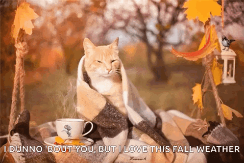 Good Morning Coffee GIF