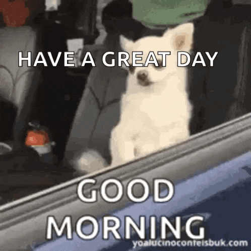 Good Morning GIF