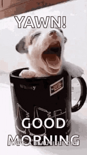Good Morning GIF