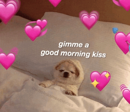 Good Morning Cute Meme