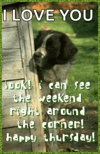 Good Morning GIF