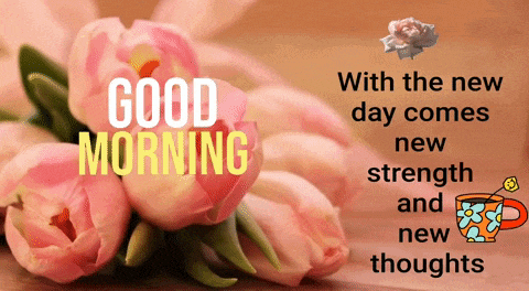 Good Morning GIF