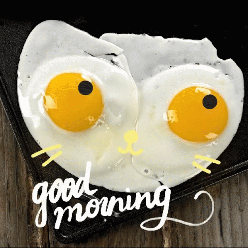 Good Morning Eggs GIF