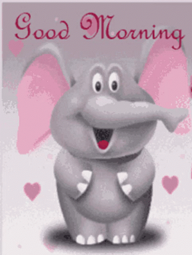 Good Morning GIF