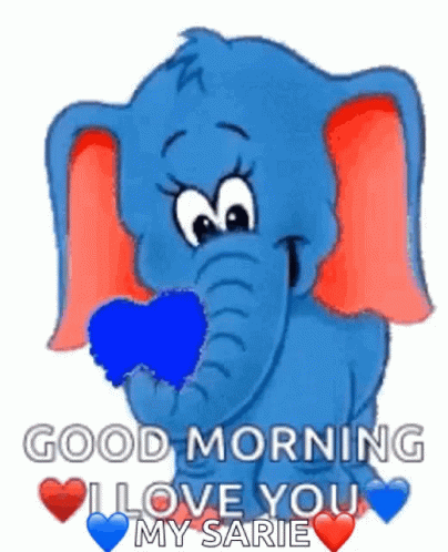 Good Morning Elephant GIF
