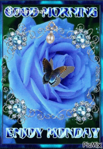 Good Morning Enjoy Monday GIF. This 347 x 498 animated GIF is part of our montag morgen collection. Related themes include butterfly, flower, good morning…