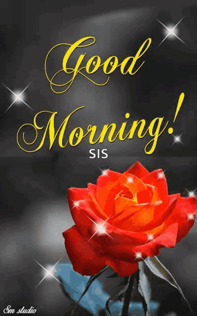 Good Morning GIF