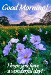 Good Morning Field Of Flowers GIF