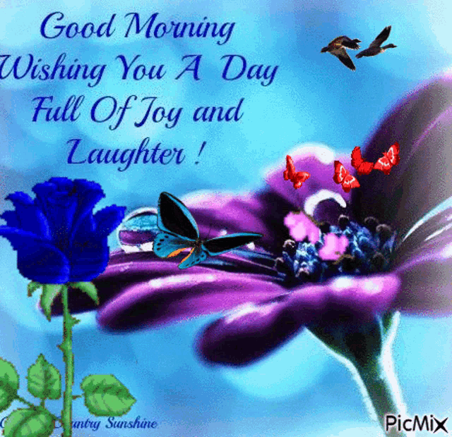 Good Morning Flower GIF