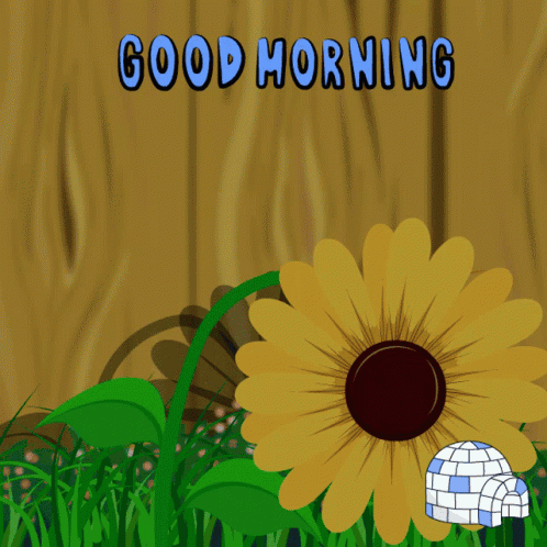 Good Morning Flower GIF