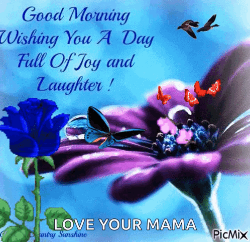 Good Morning Flower GIF. This 498 x 483 animated GIF is part of our guten morgen und schonen tag collection. Related themes include bird, butterfly, flower…