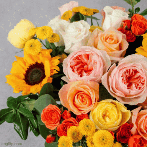 Good Morning Flowers Good Morning Love GIF