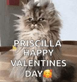 Good Morning Funny Animals GIF