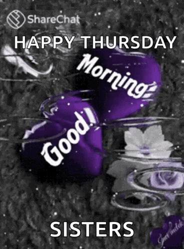 Good Morning GIF