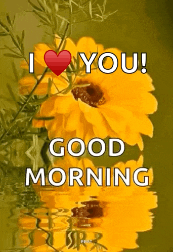 Good Morning GIF