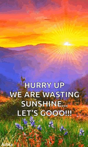 Good Morning GIF
