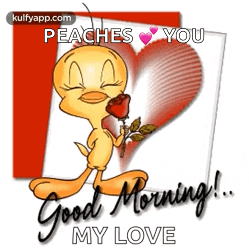 Good Morning GIF