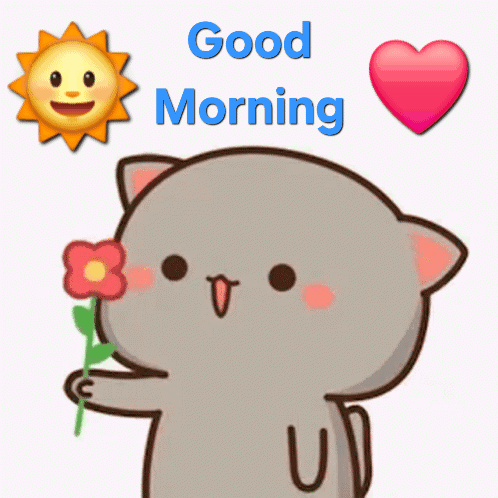 Good Morning Goma Peach GIF