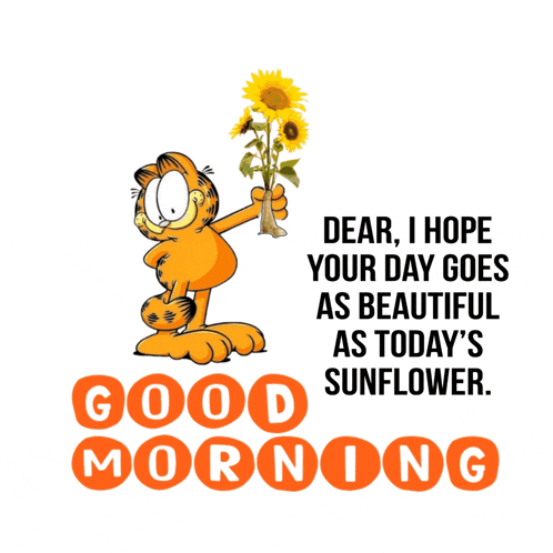 Good Morning Good Morning Gif GIF