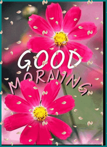 Good Morning Good Morning Happy Sunday GIF. This 364 x 498 animated GIF is part of our guten morgen sonntag collection. Related themes include good day…