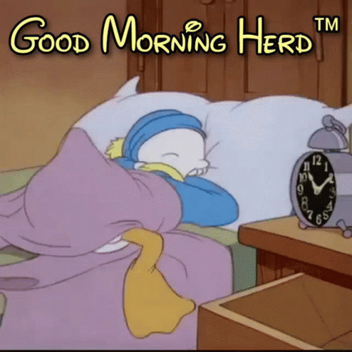 Good Morning Good Morning Herd GIF