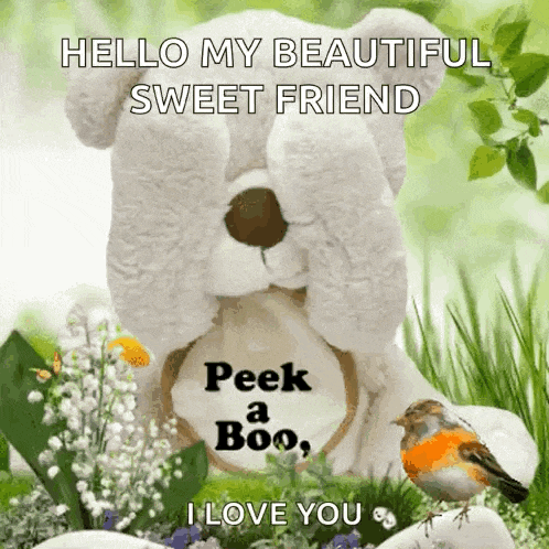 Good Morning Good Morning To You GIF
