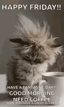 Good Morning Goodmorning GIF