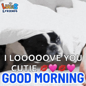 Good Morning Goodmorning GIF