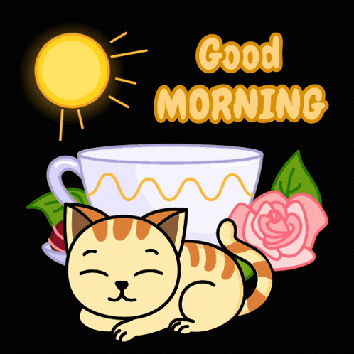Good Morning Goodmorningcat GIF