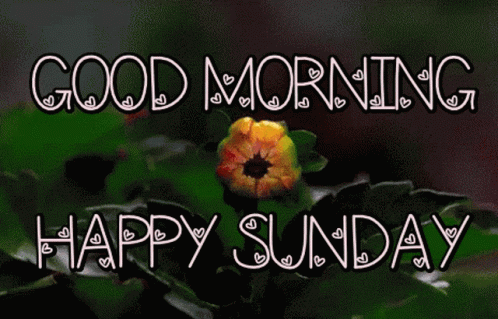 Good Morning Happy Sunday GIF