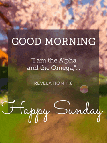 Good Morning Happy Sunday Meme