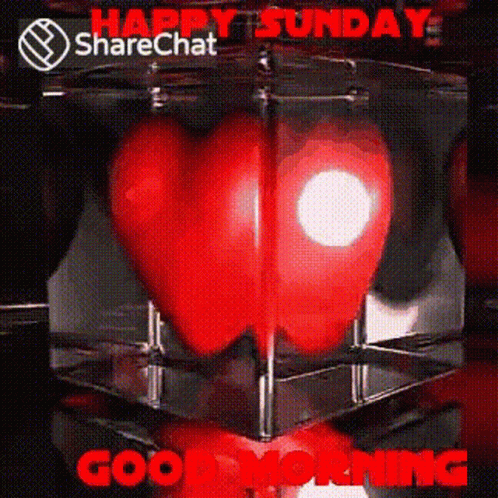 Good Morning Happy Sunday GIF