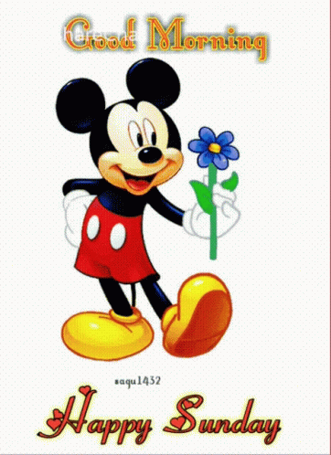 Good Morning Happy Sunday GIF. This 362 x 498 animated GIF is part of our guten morgen sonntag collection. Related themes include flower, good morning…