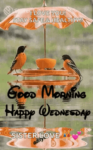 Good Morning Happy Wednesday GIF