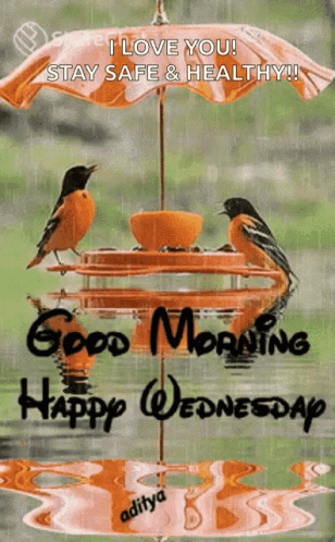 Good Morning Happy Wednesday GIF. This 308 x 498 animated GIF is part of our guten morgen mittwoch collection. Related themes include bird, good morning…