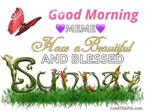 Good Morning Have A Beautiful Sunday GIF. This 498 x 374 animated GIF is part of our guten morgen sonntag collection. Related themes include good morning…