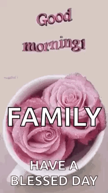 Good Morning Have A Blessed Day GIF