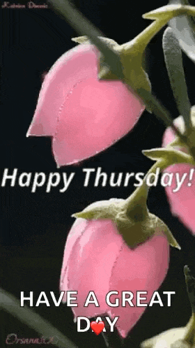Good Morning Have A Great Day GIF