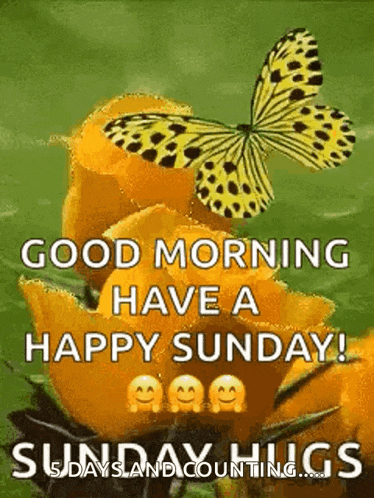 Good Morning Have A Happy Sunday GIF