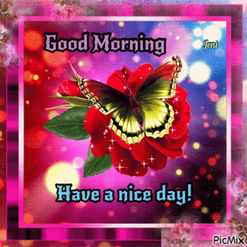 Good Morning Have A Nice Day GIF. This 498 x 498 animated GIF is part of our guten morgen und schonen tag collection. Related themes include butterfly…