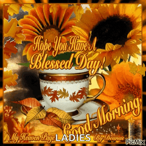 Good Morning Have A Nice Day GIF