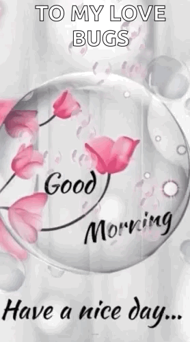 Good Morning Have A Nice Day GIF